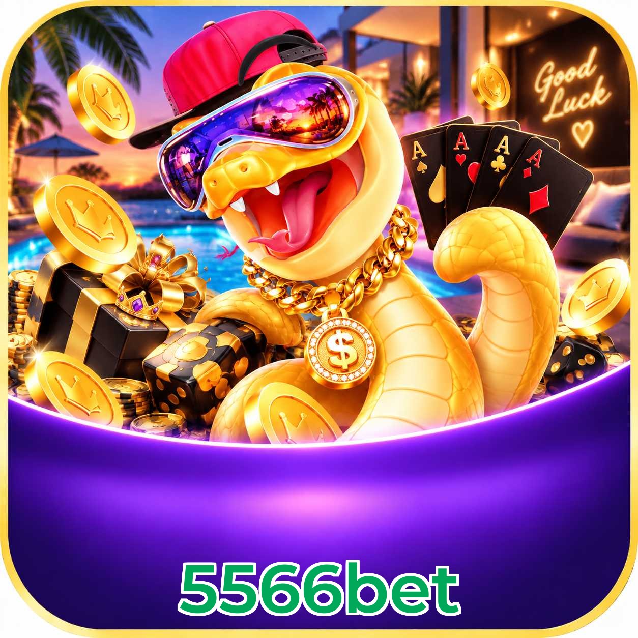 5566bet Bet Odds Analysis