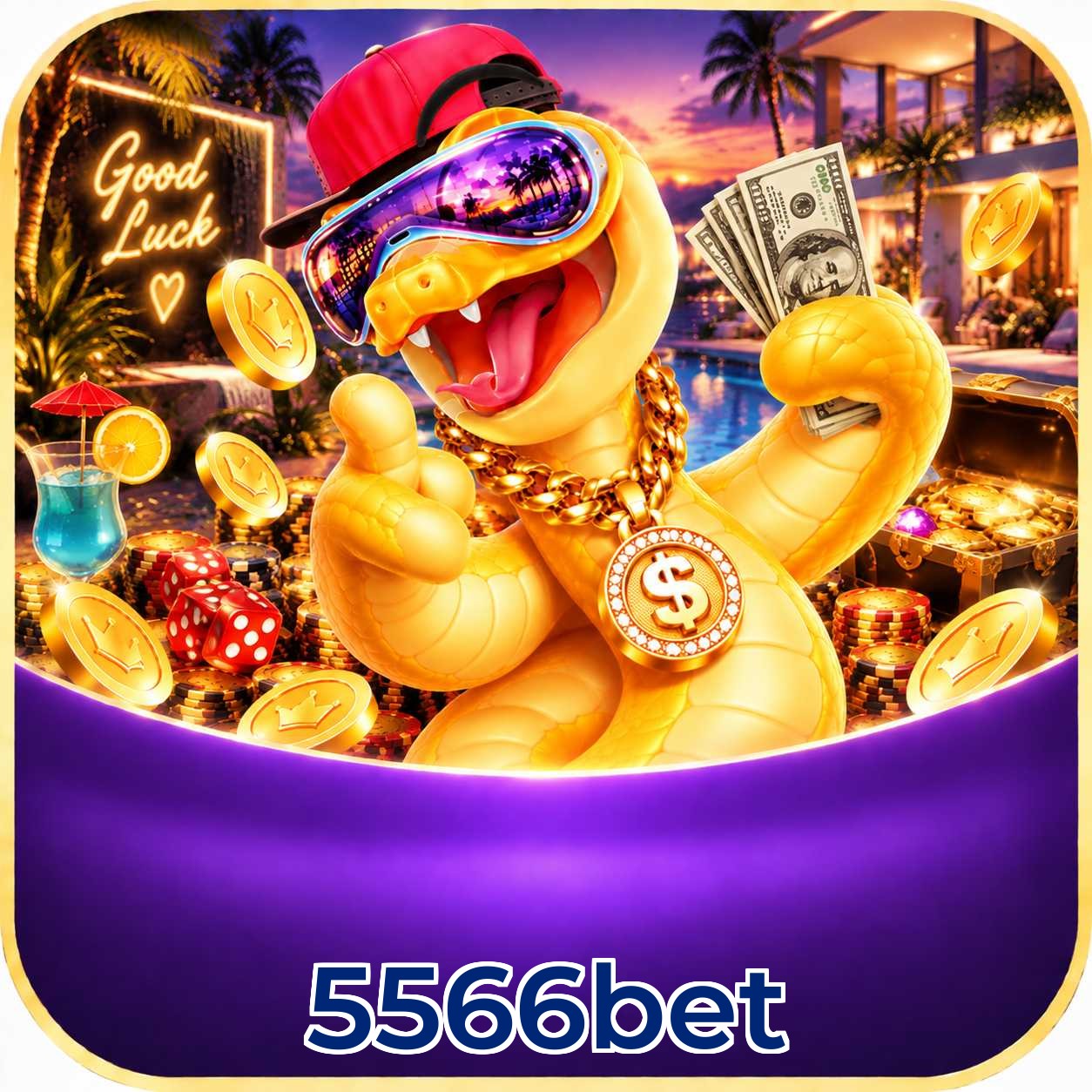 5566bet Compatibilidade